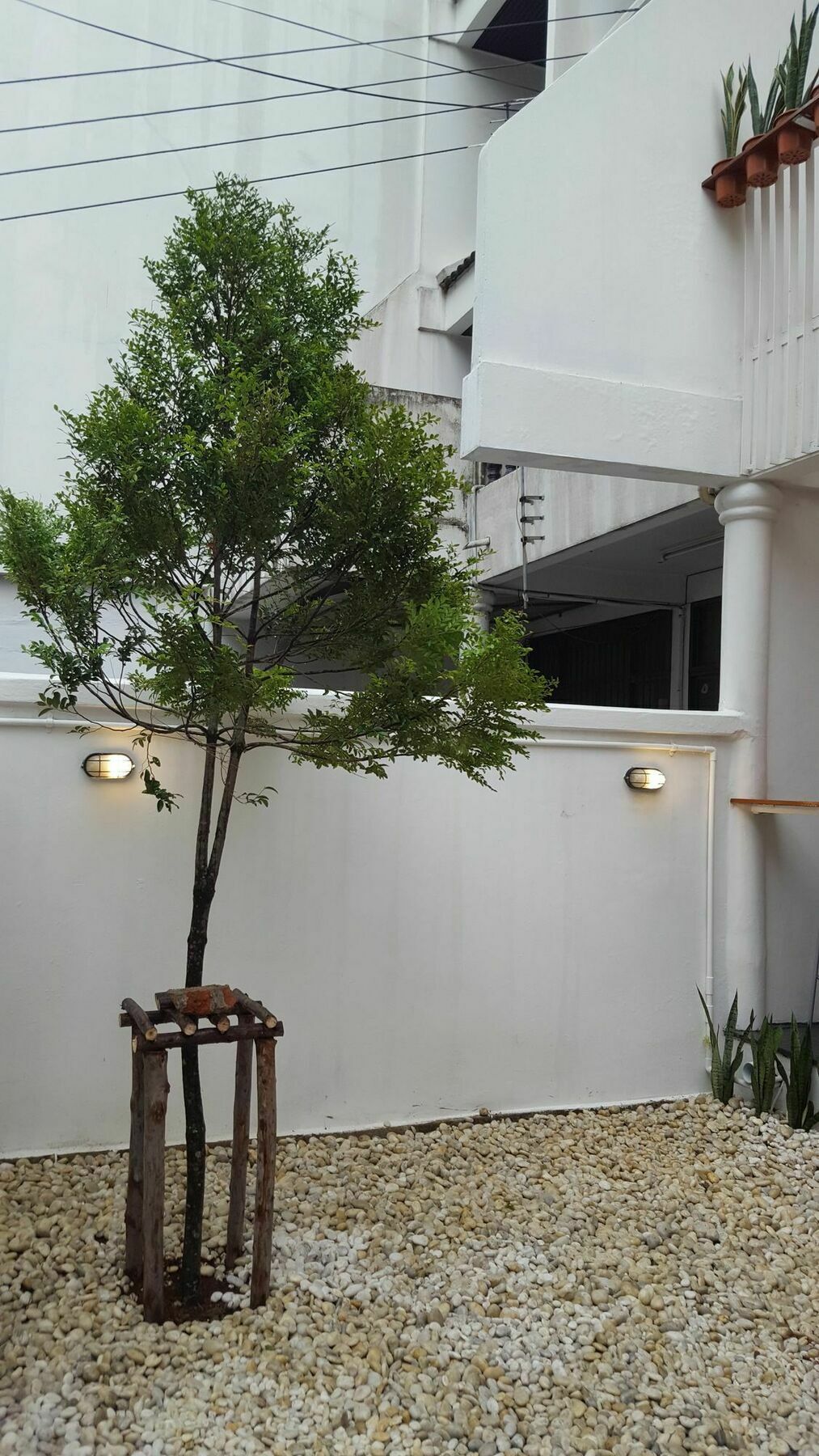 Haus Sathorn 21 Bed And Breakfast Bangkok Ngoại thất bức ảnh